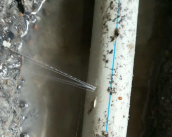 泰山卫生间测漏水多少钱