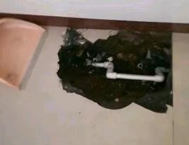 泰山卫生间测漏水多少钱